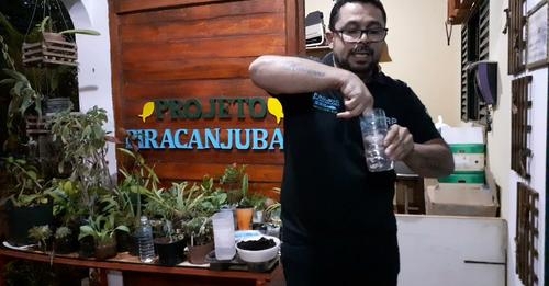 Video utilize-garrafas-pet-usadas-para-fazer-mudinhas-de-plantas-variadas