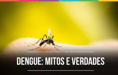 Noticia 8-mitos-e-verdades-sobre-a-dengue