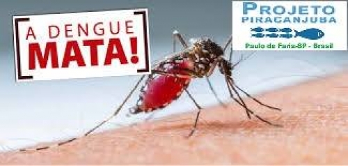 Noticia a-dengue-mata-nao-espere-acontecer-para-agir